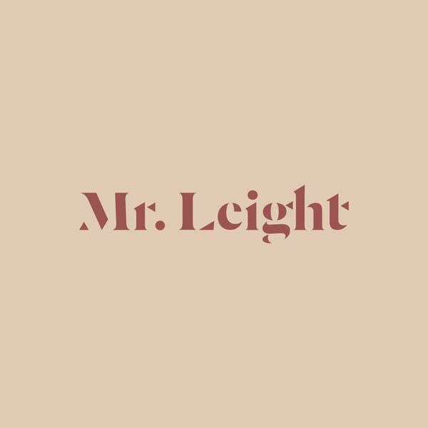 Mr Leight logo